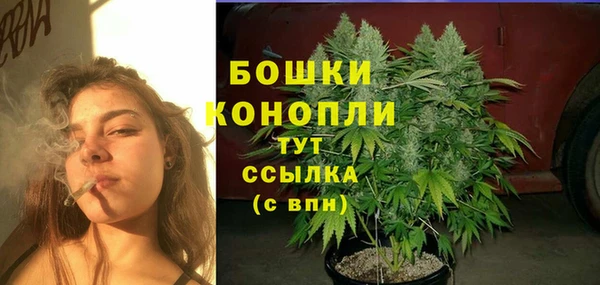 COCAINE Белокуриха